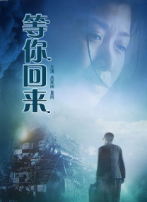 国内精品久久久久激情影院
