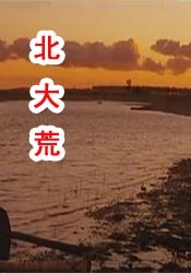 theav在线播放