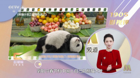 免费看av片网站